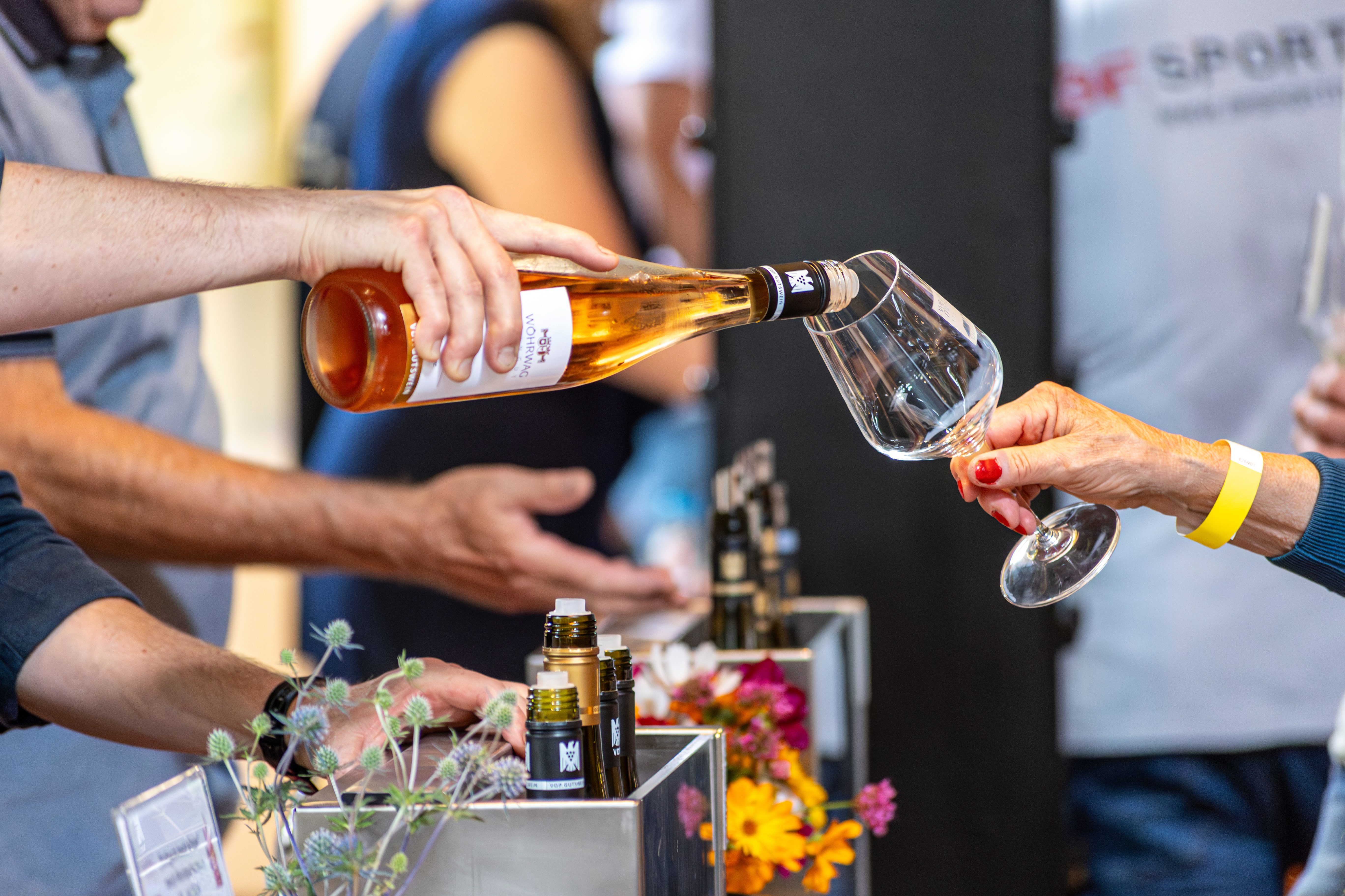 Stuttgarts beste Weine im Weinbaumuseum
